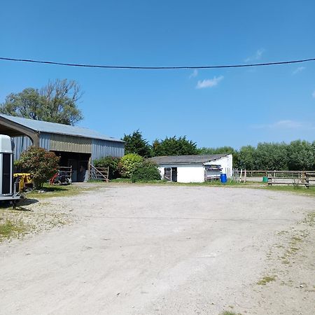 Ferme Equestre Oye-Plage Exterior foto